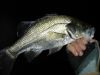 355mm_night_surfacec_211005.JPG