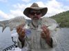2006213194732_markbream.jpg